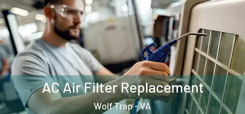  AC Air Filter Replacement Wolf Trap - VA