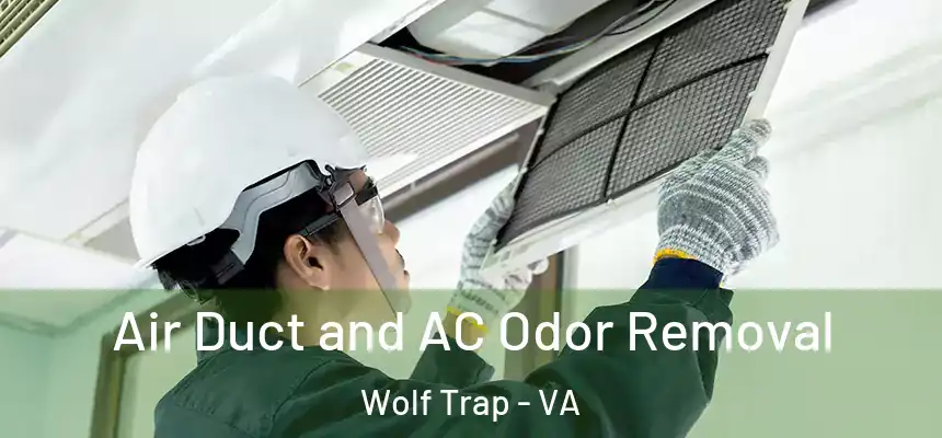  Air Duct and AC Odor Removal Wolf Trap - VA