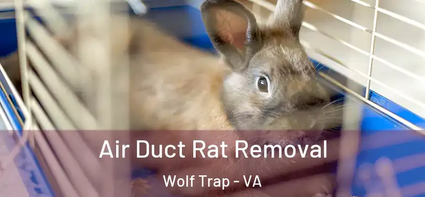  Air Duct Rat Removal Wolf Trap - VA