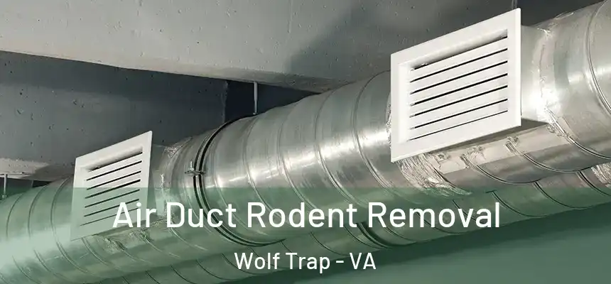  Air Duct Rodent Removal Wolf Trap - VA