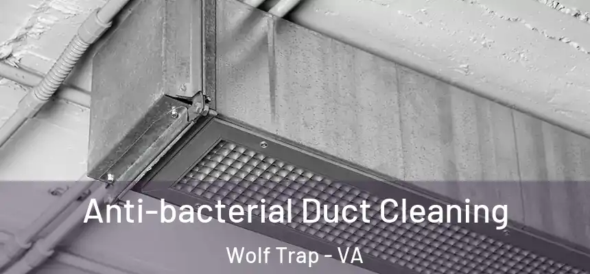  Anti-bacterial Duct Cleaning Wolf Trap - VA