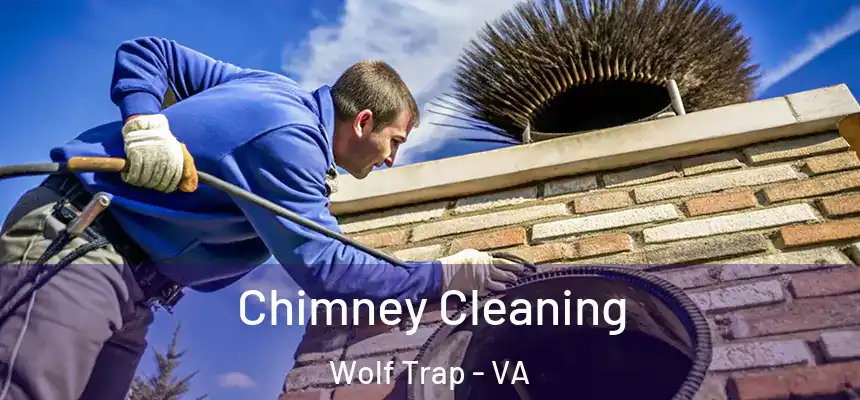  Chimney Cleaning Wolf Trap - VA