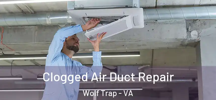  Clogged Air Duct Repair Wolf Trap - VA