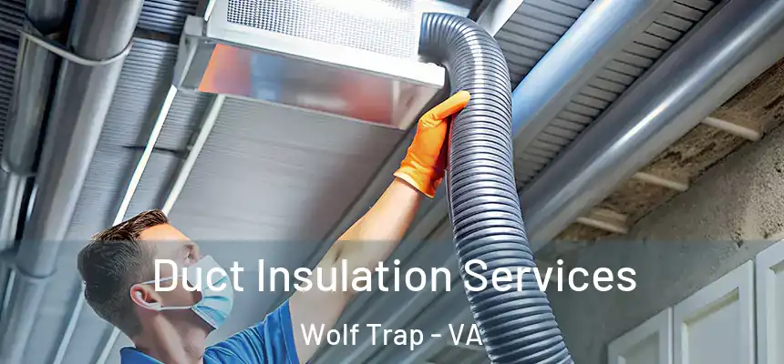  Duct Insulation Services Wolf Trap - VA