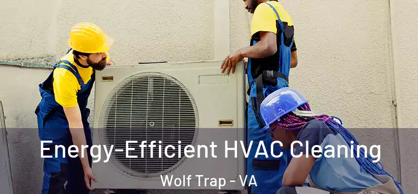  Energy-Efficient HVAC Cleaning Wolf Trap - VA