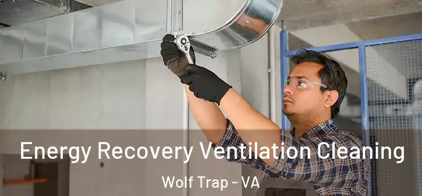 Energy Recovery Ventilation Cleaning Wolf Trap - VA