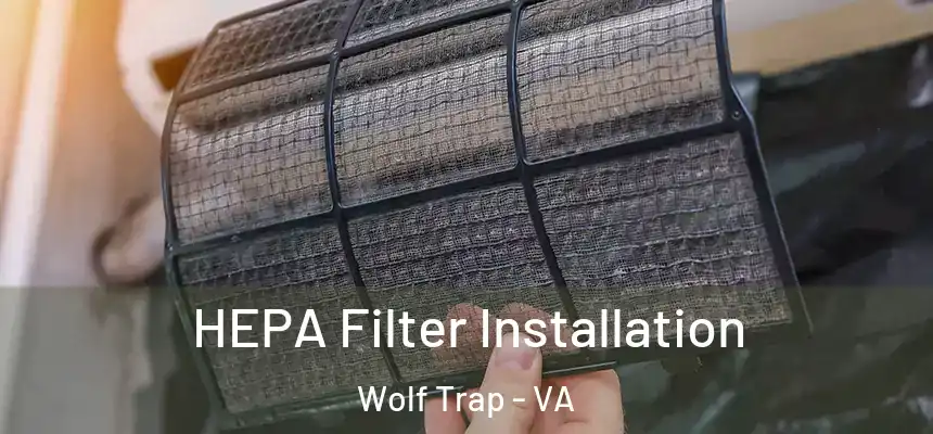 HEPA Filter Installation Wolf Trap - VA