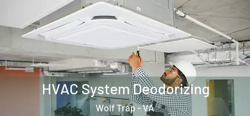  HVAC System Deodorizing Wolf Trap - VA