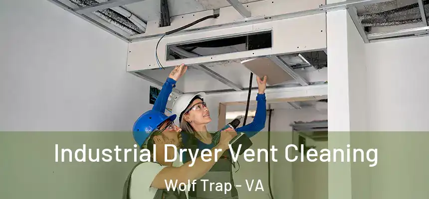  Industrial Dryer Vent Cleaning Wolf Trap - VA