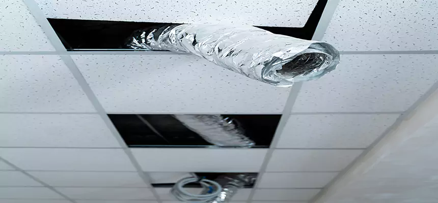 Our Air Duct Pet Hair Removal Services in Wolf Trap, VA