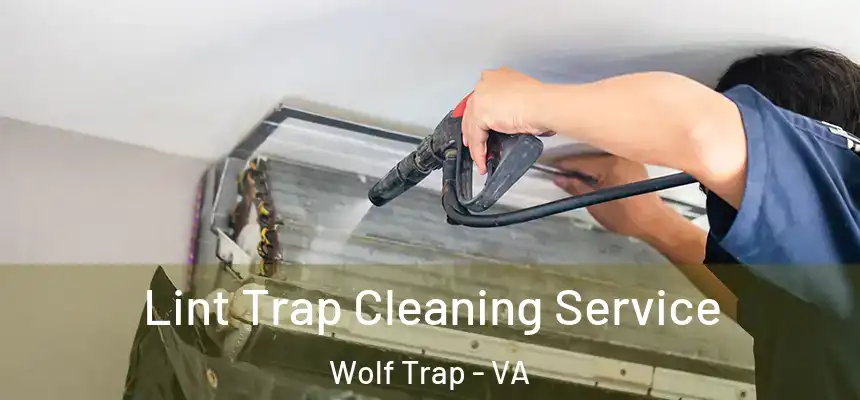  Lint Trap Cleaning Service Wolf Trap - VA