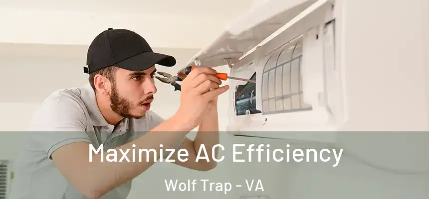  Maximize AC Efficiency Wolf Trap - VA