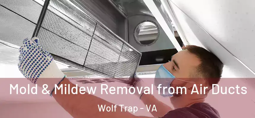 Mold & Mildew Removal from Air Ducts Wolf Trap - VA