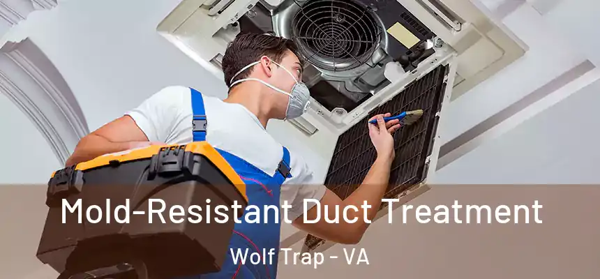  Mold-Resistant Duct Treatment Wolf Trap - VA