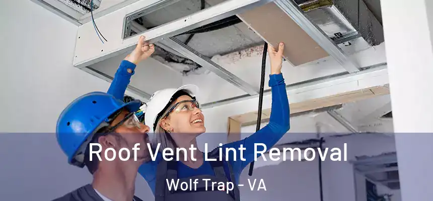 Roof Vent Lint Removal Wolf Trap - VA