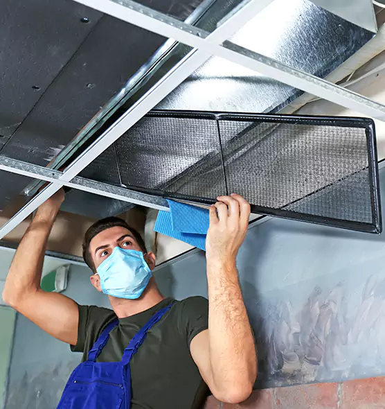 About Air Duct Bacteria Removal in Wolf Trap