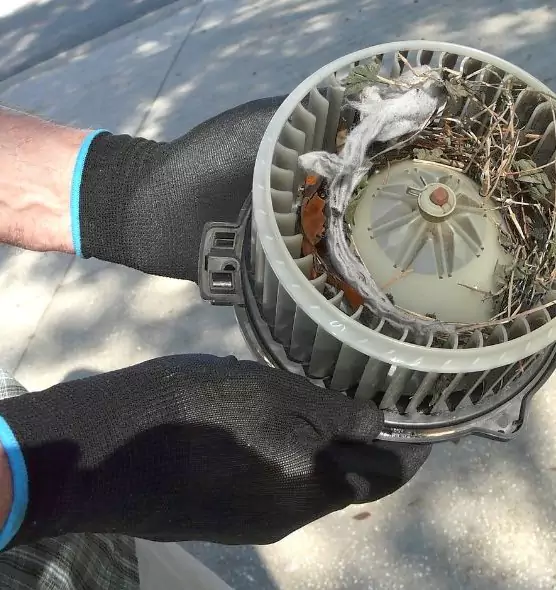 About Air Duct Mice Removal in Wolf Trap, VA