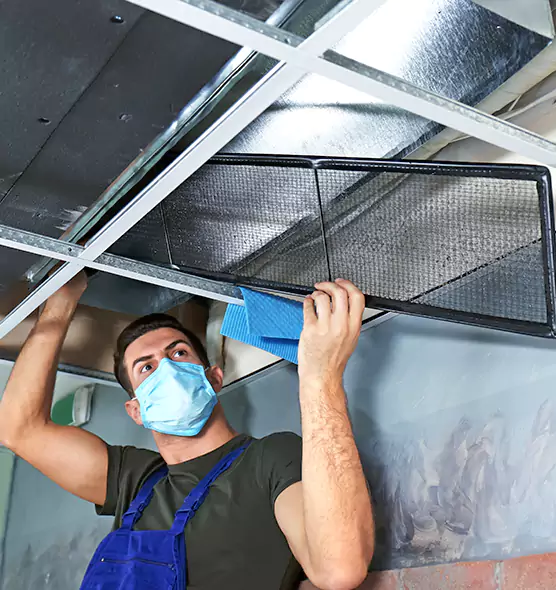 Professional Air Duct Pollen Cleaning in Wolf Trap, VA