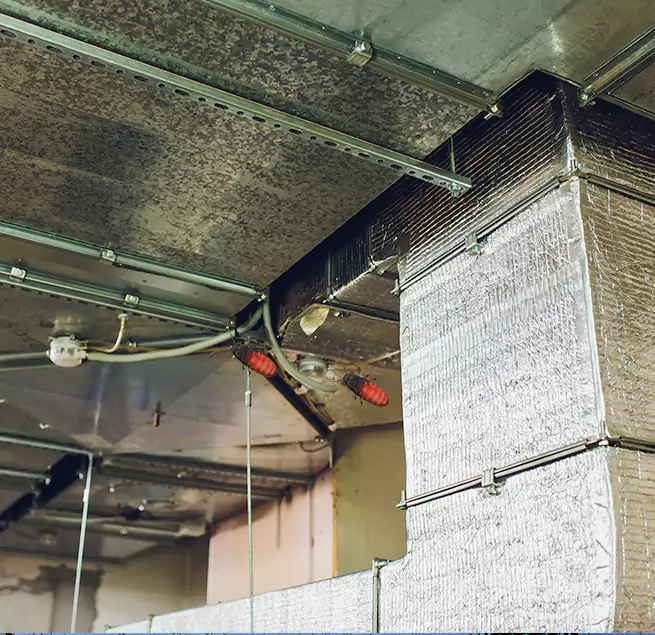 Why Homeowners & Businesses Trust Us in Wolf Trap, VA?