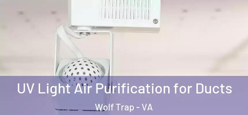 UV Light Air Purification for Ducts Wolf Trap - VA